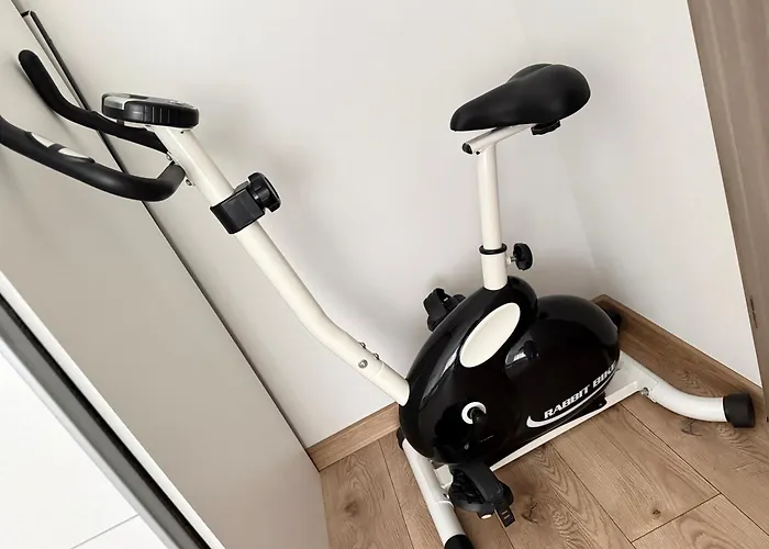 Flightdeck Appartement Timişoara