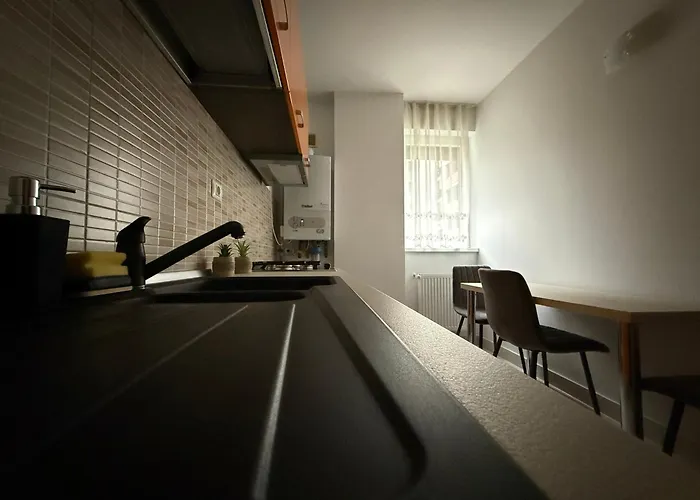 Flightdeck Apartment Timisoara