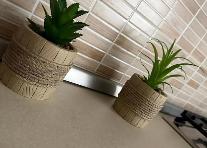 Apartment Flightdeck